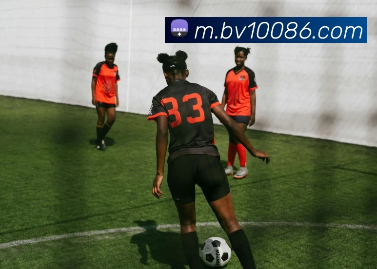 宝威体育品牌故事